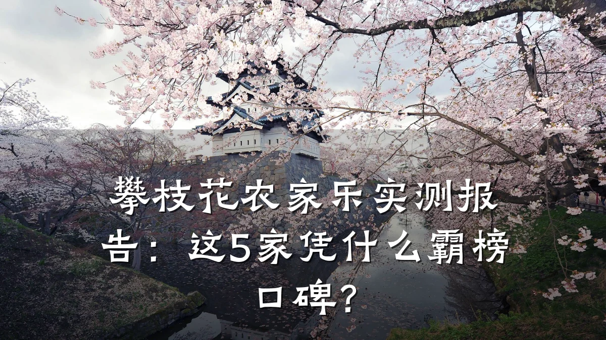 攀枝花农家乐实测报告:这5家凭什么霸榜口碑?