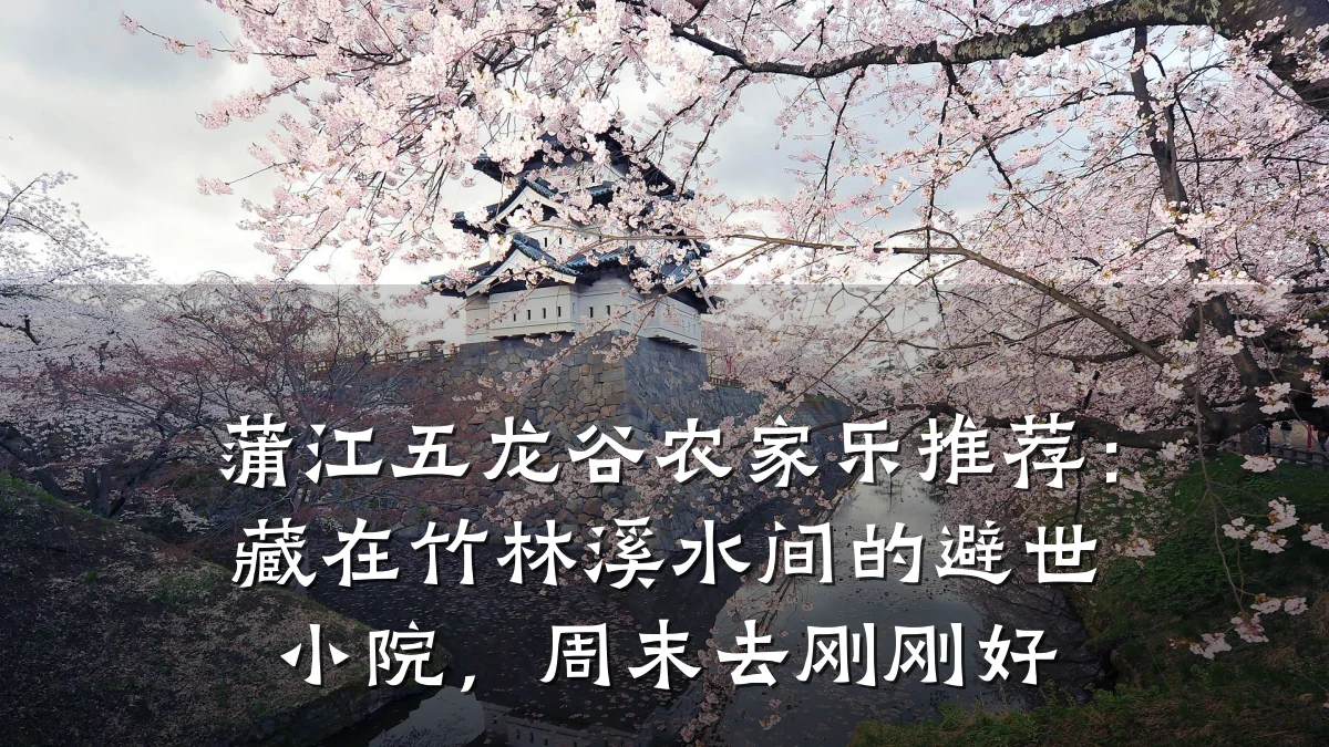 蒲江五龙谷农家乐推荐：藏在竹林溪水间的避世小院，周末去刚刚好