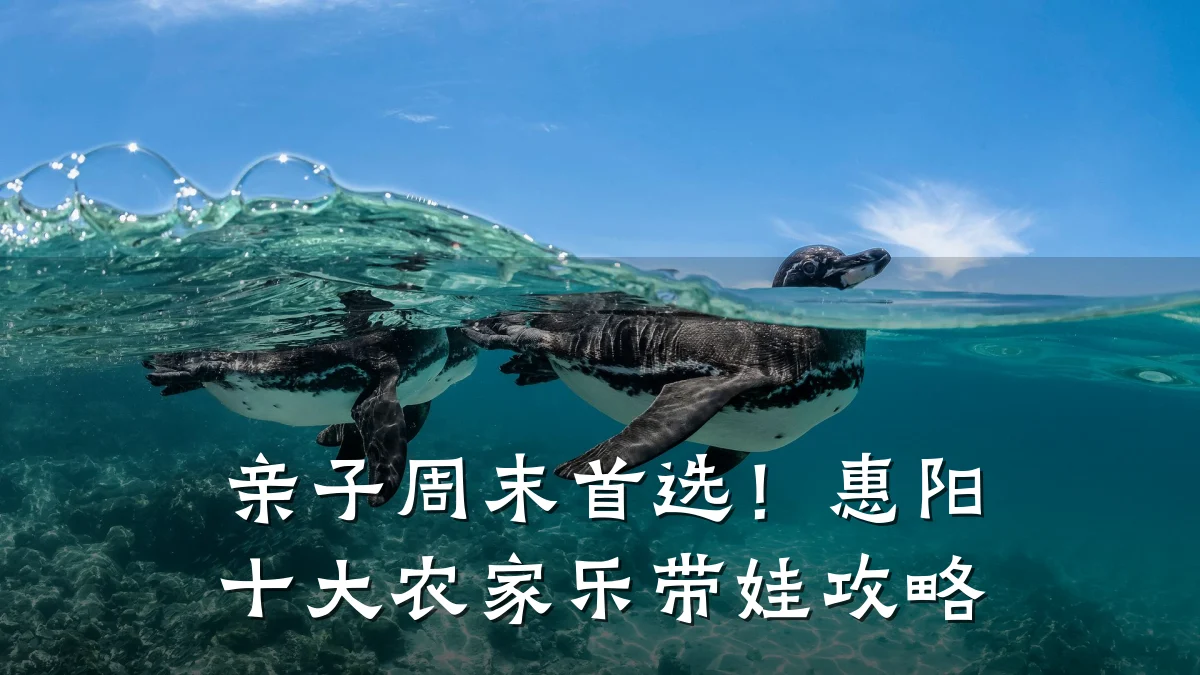 亲子周末首选!惠阳十大农家乐带娃攻略