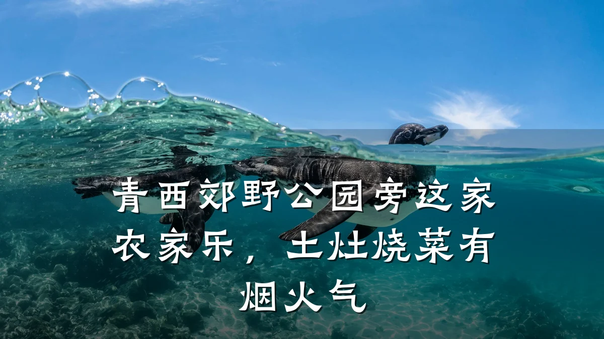 青西郊野公园旁这家农家乐,土灶烧菜有烟火气
