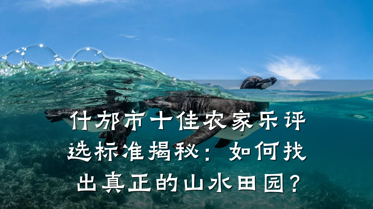 什邡市十佳农家乐评选标准揭秘：如何找出真正的山水田园？