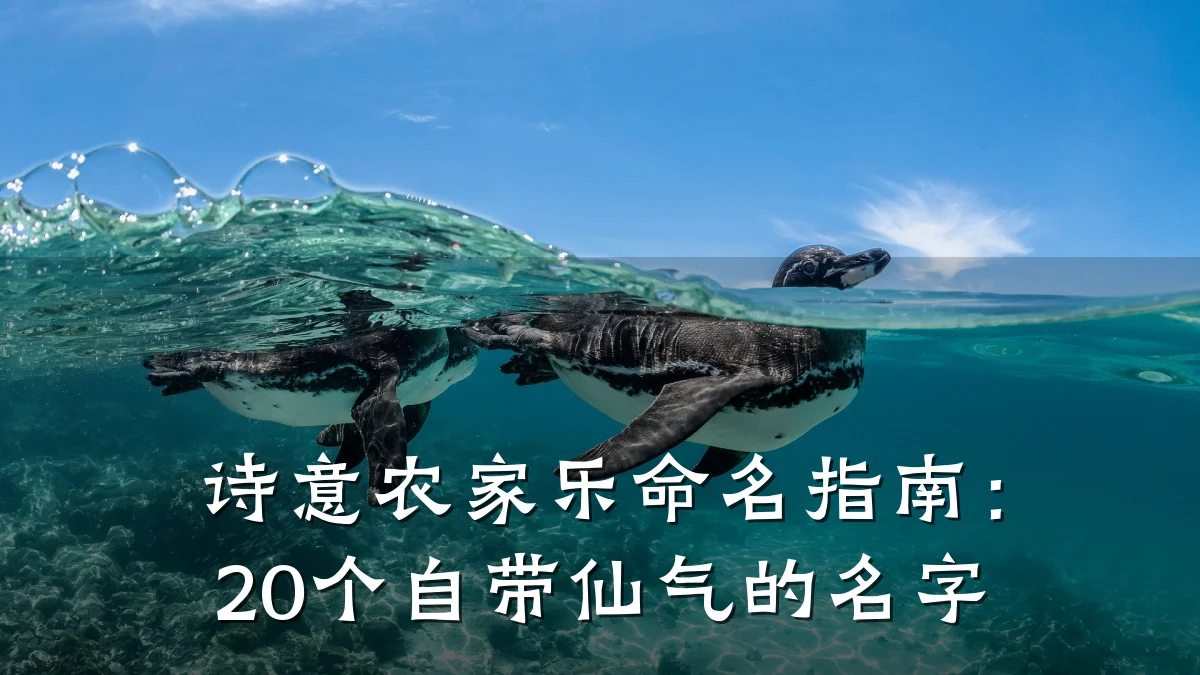 诗意农家乐命名指南:20个自带仙气的名字