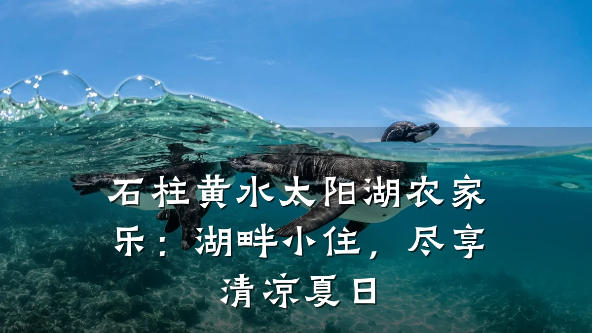 石柱黄水太阳湖农家乐:湖畔小住,尽享清凉夏日