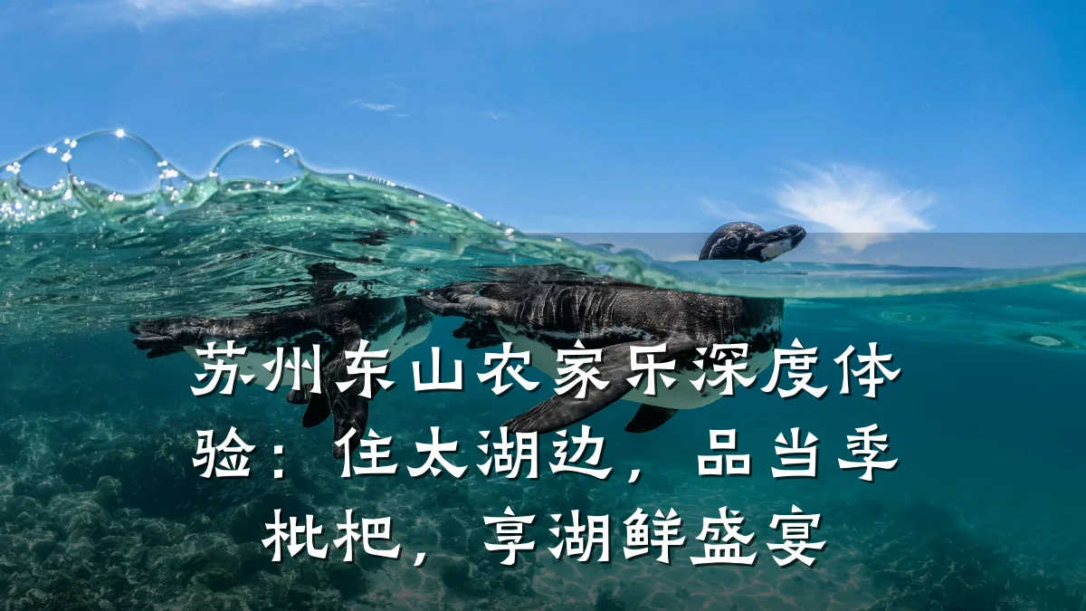 苏州东山农家乐深度体验：住太湖边，品当季枇杷，享湖鲜盛宴