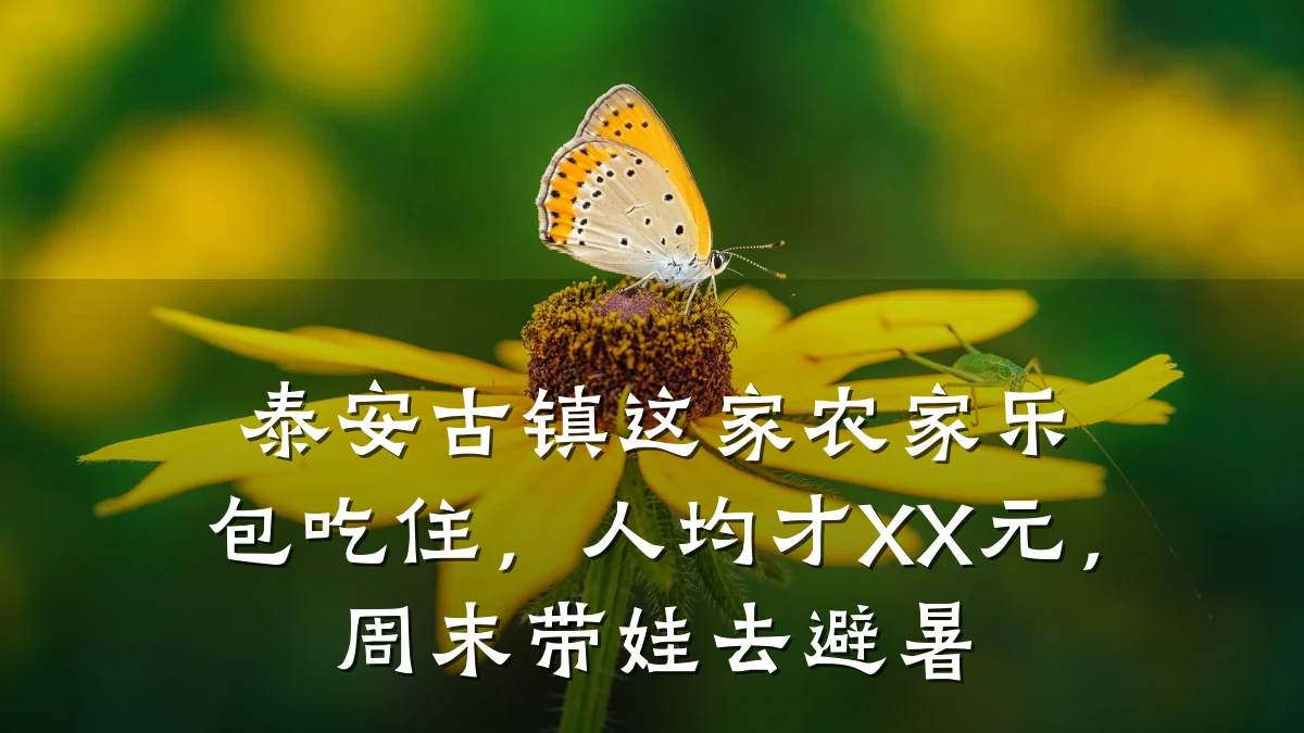 泰安古镇这家农家乐包吃住,人均才XX元,周末带娃去避暑