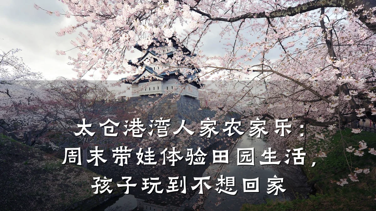 太仓港湾人家农家乐:周末带娃体验田园生活,孩子玩到不想回家