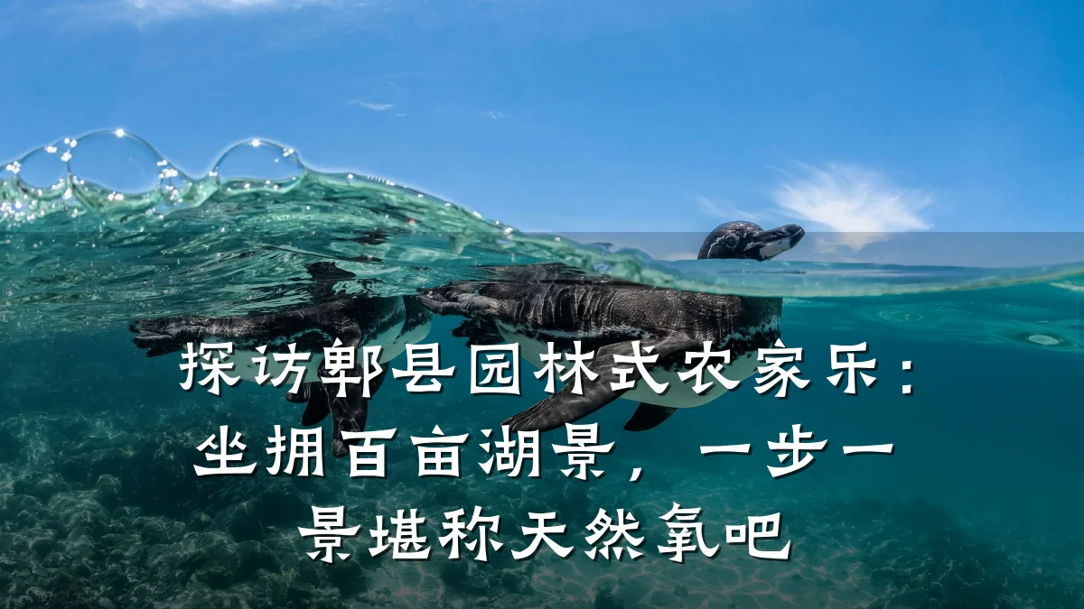 探访郫县园林式农家乐:坐拥百亩湖景,一步一景堪称天然氧吧