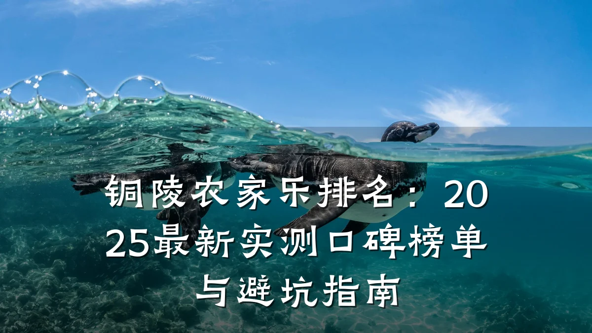 铜陵农家乐排名:2025最新实测口碑榜单与避坑指南