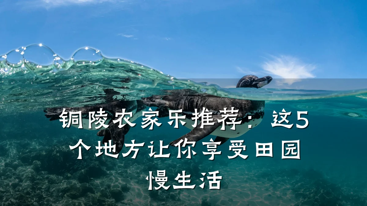 铜陵农家乐推荐:这5个地方让你享受田园慢生活