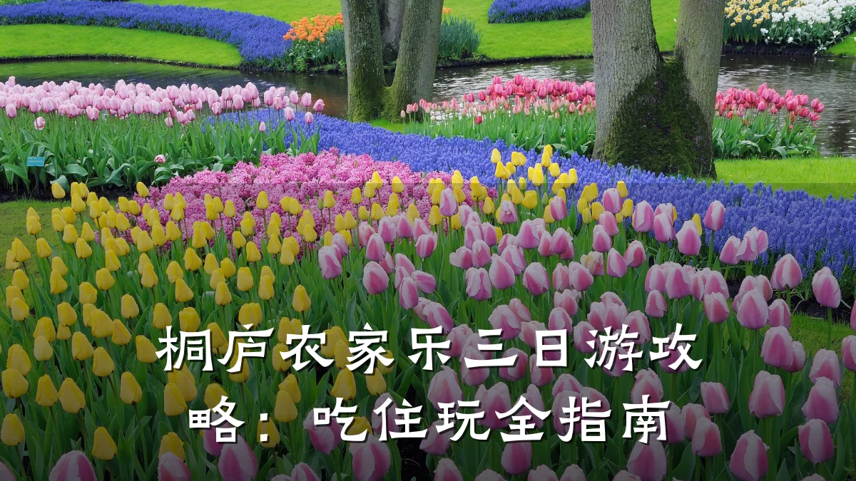 桐庐农家乐三日游攻略:吃住玩全指南