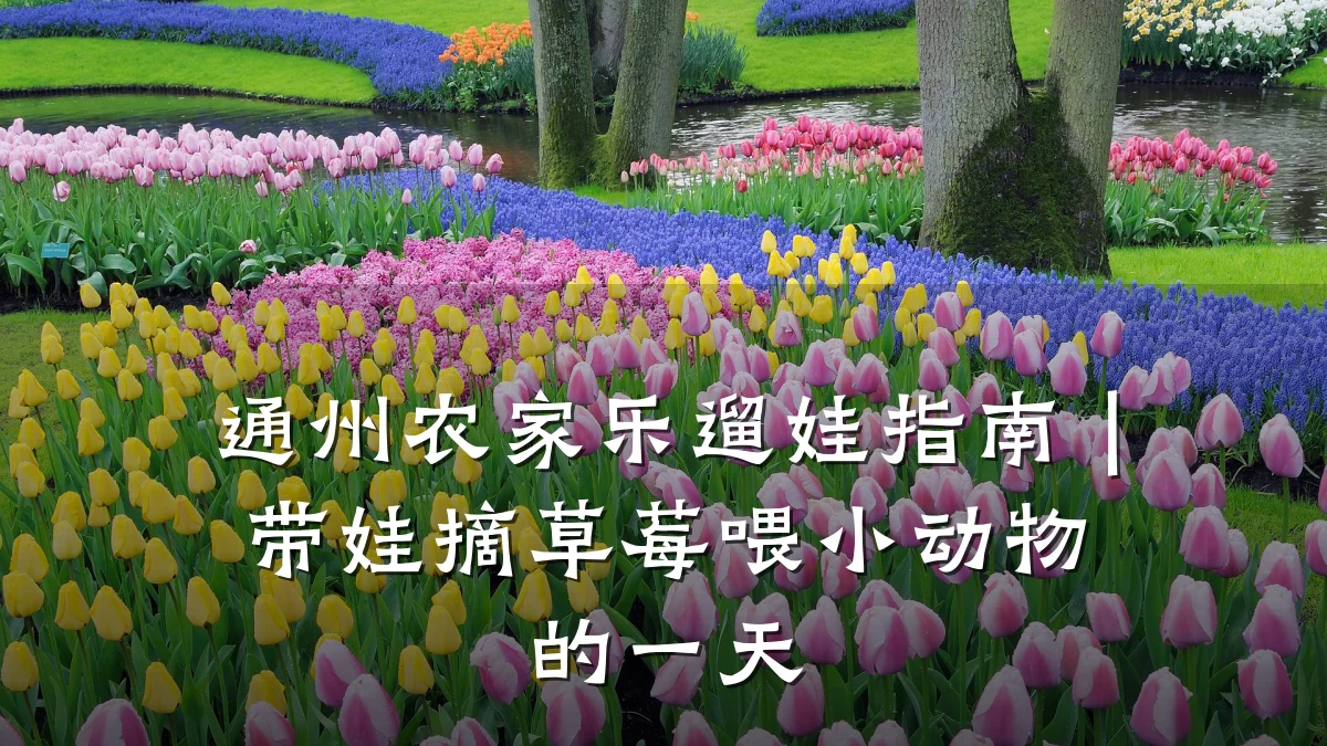 通州农家乐遛娃指南|带娃摘草莓喂小动物的一天