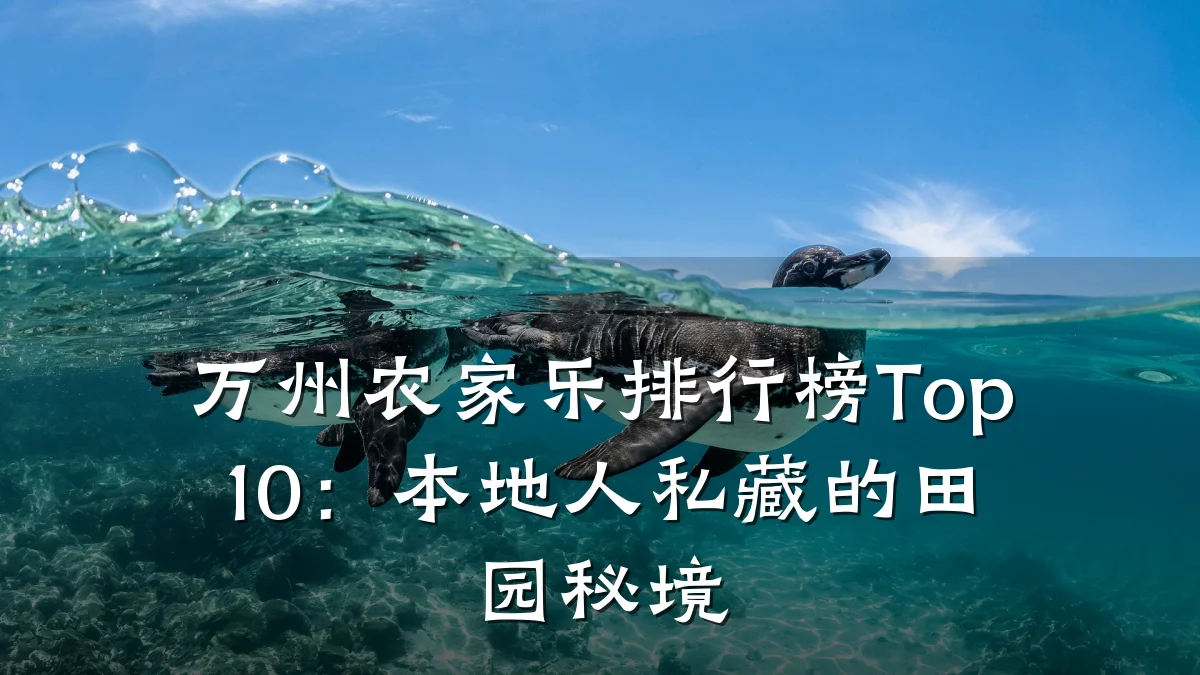 万州农家乐排行榜Top10:本地人私藏的田园秘境