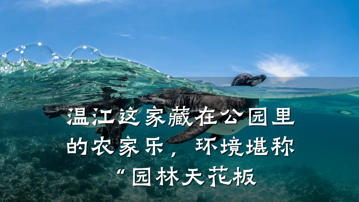 温江这家藏在公园里的农家乐,环境堪称“园林天花板