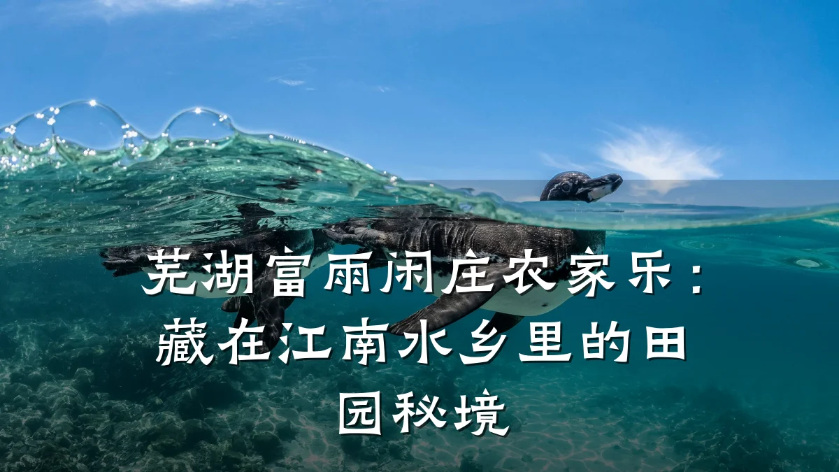 芜湖富雨闲庄农家乐:藏在江南水乡里的田园秘境