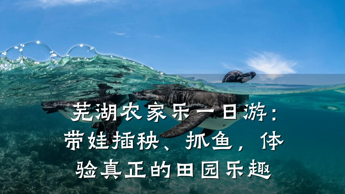 芜湖农家乐一日游：带娃插秧、抓鱼，体验真正的田园乐趣