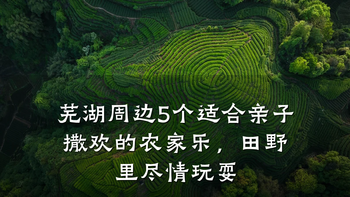 芜湖周边5个适合亲子撒欢的农家乐,田野里尽情玩耍