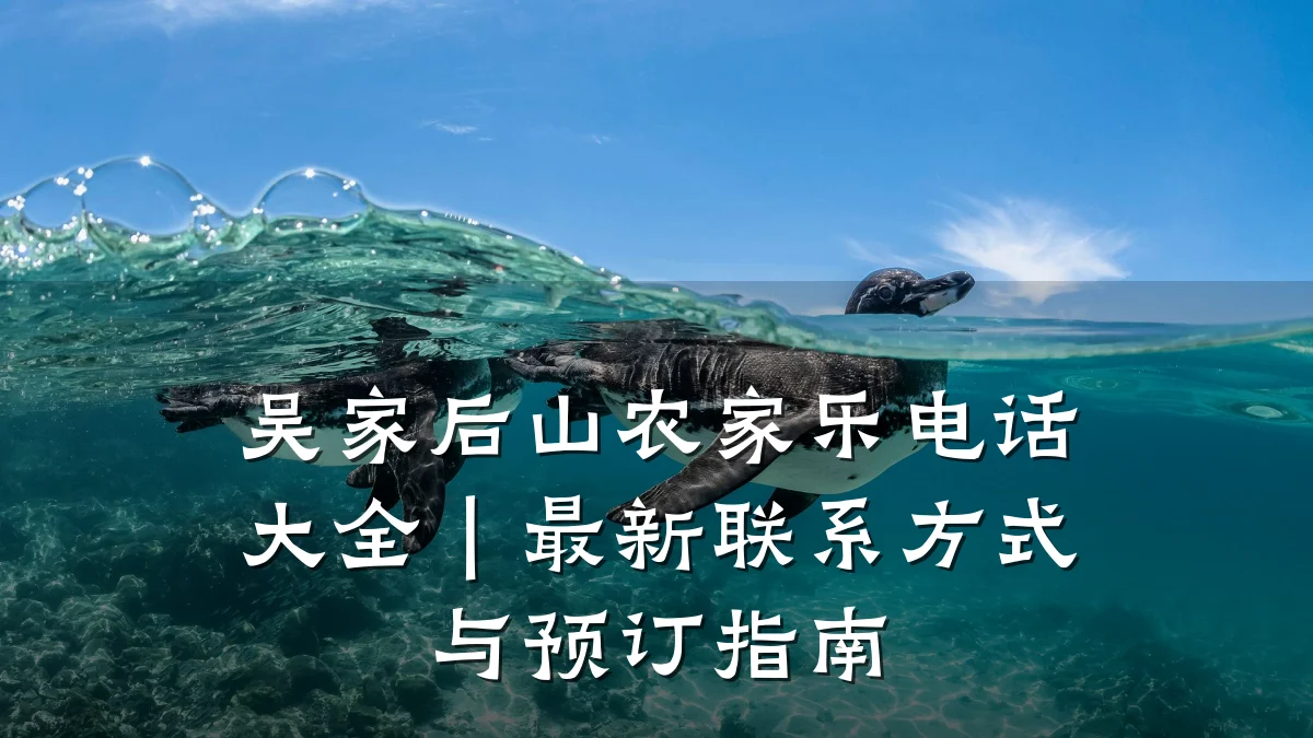 吴家后山农家乐电话大全|最新联系方式与预订指南