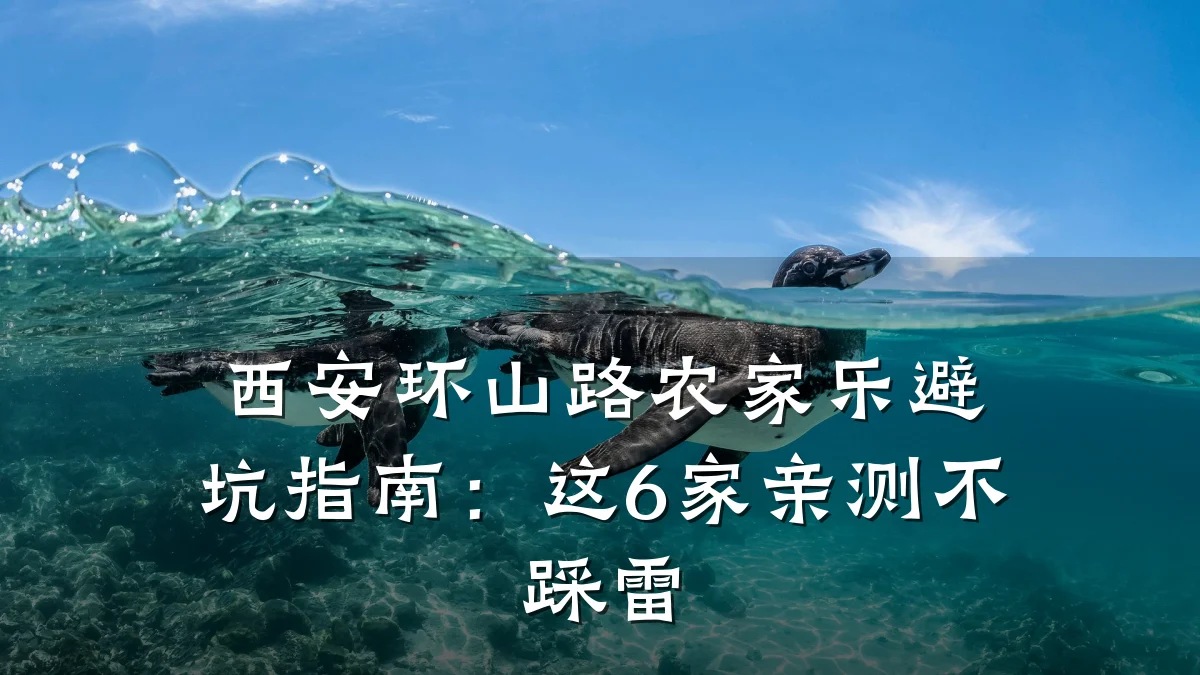 西安环山路农家乐避坑指南:这6家亲测不踩雷