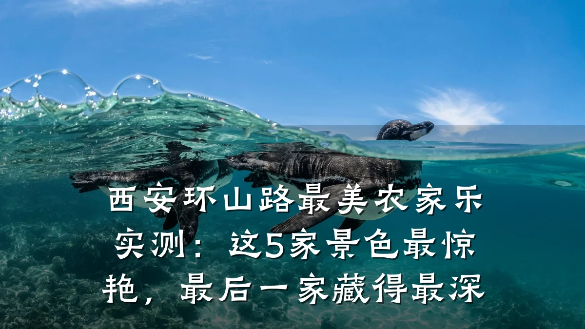 西安环山路最美农家乐实测:这5家景色最惊艳,最后一家藏得最深