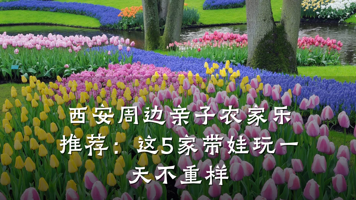 西安周边亲子农家乐推荐:这5家带娃玩一天不重样