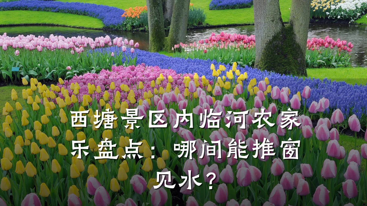 西塘景区内临河农家乐盘点:哪间能推窗见水?