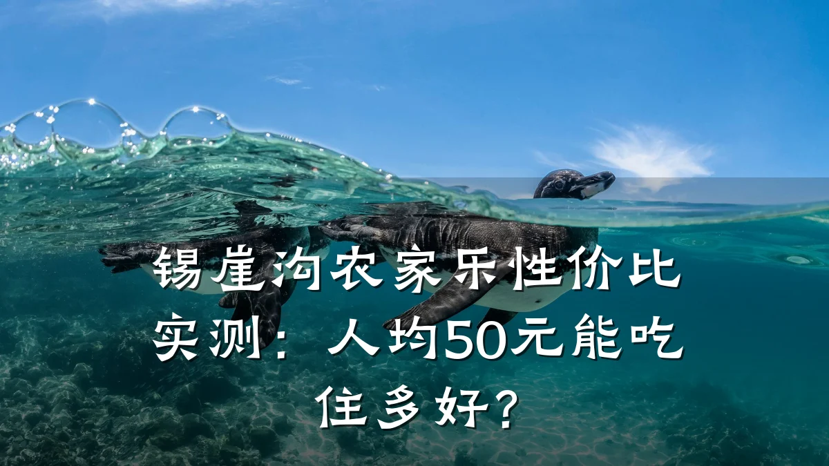 锡崖沟农家乐性价比实测：人均50元能吃住多好？