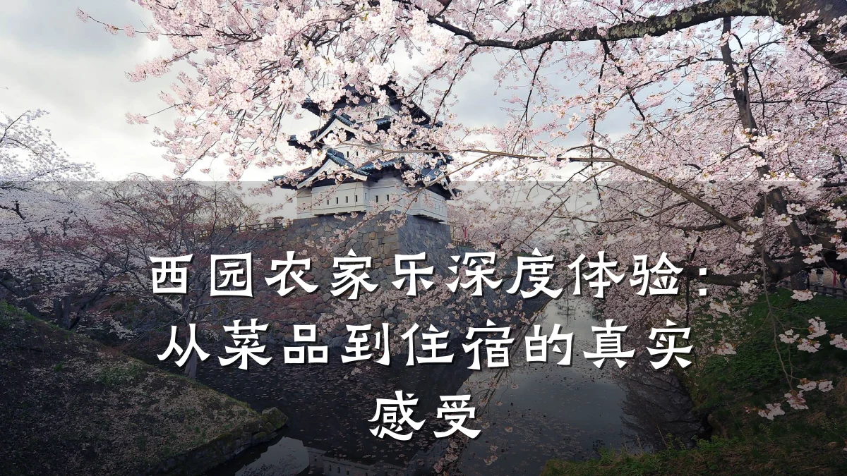 西园农家乐深度体验:从菜品到住宿的真实感受