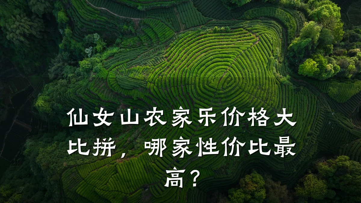 仙女山农家乐价格大比拼，哪家性价比最高？