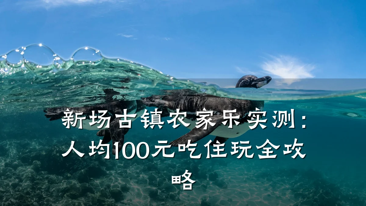 新场古镇农家乐实测:人均100元吃住玩全攻略