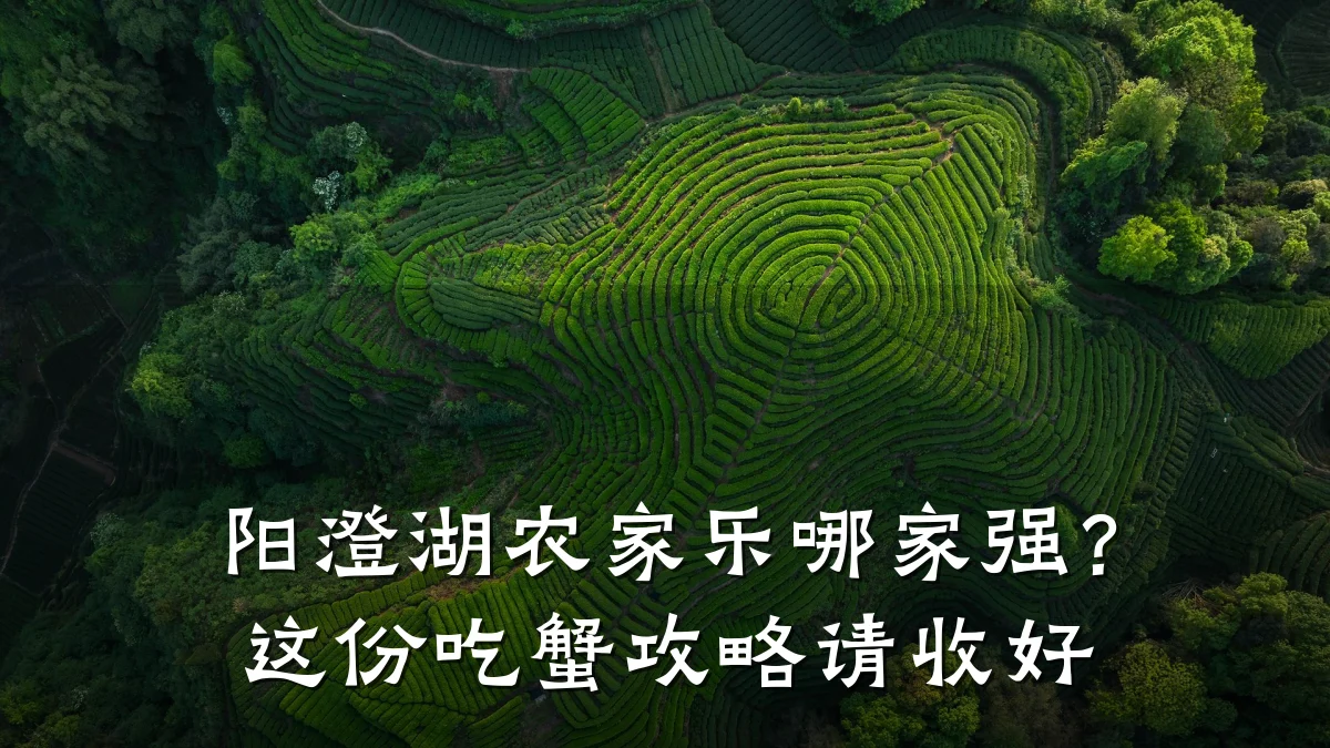 阳澄湖农家乐哪家强?这份吃蟹攻略请收好