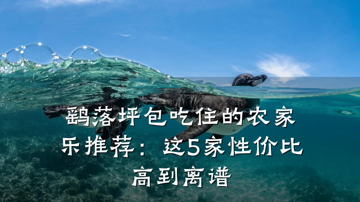 鹞落坪包吃住的农家乐推荐：这5家性价比高到离谱