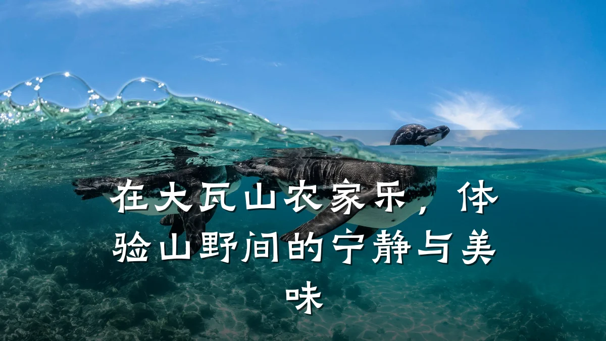 在大瓦山农家乐,体验山野间的宁静与美味