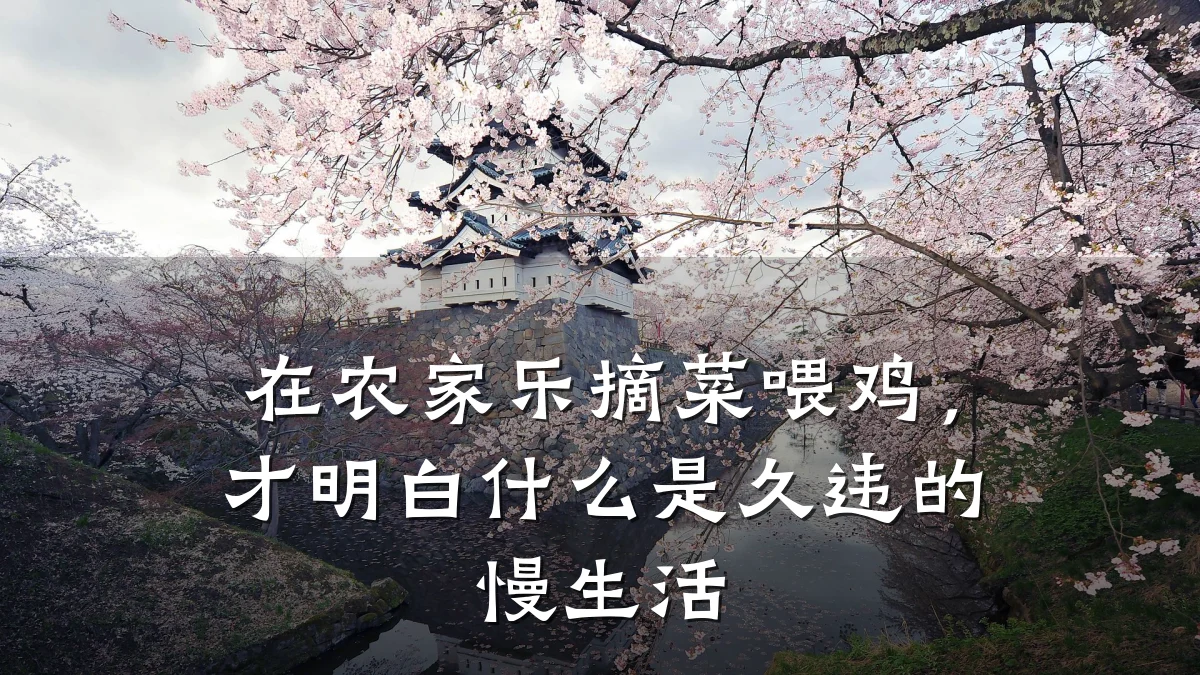 在农家乐摘菜喂鸡，才明白什么是久违的慢生活