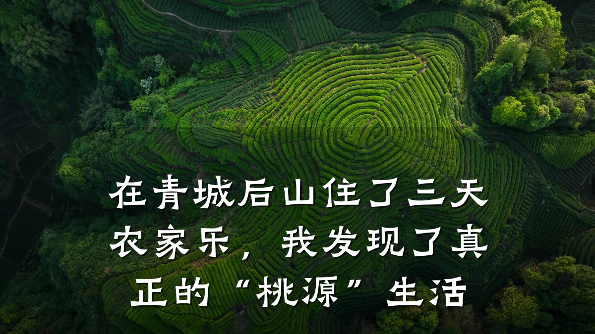 在青城后山住了三天农家乐,我发现了真正的“桃源”生活