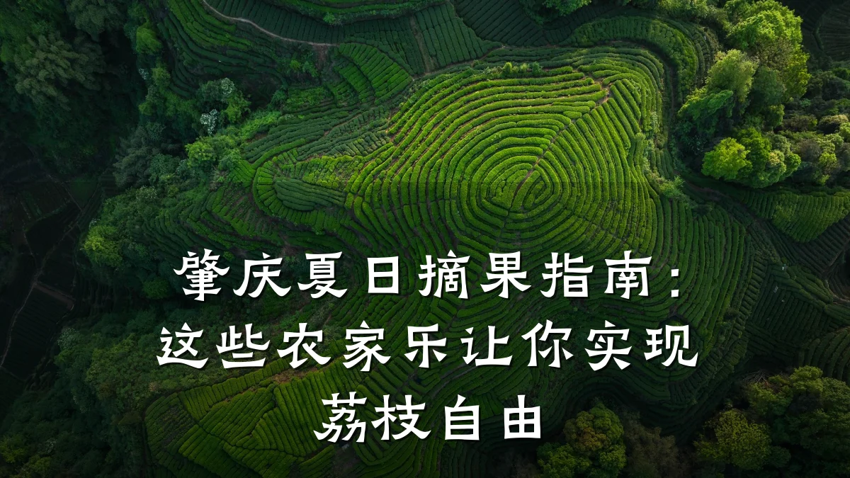 肇庆夏日摘果指南:这些农家乐让你实现荔枝自由