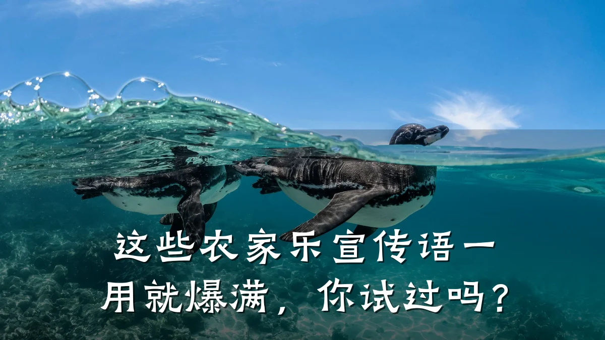 这些农家乐宣传语一用就爆满,你试过吗?