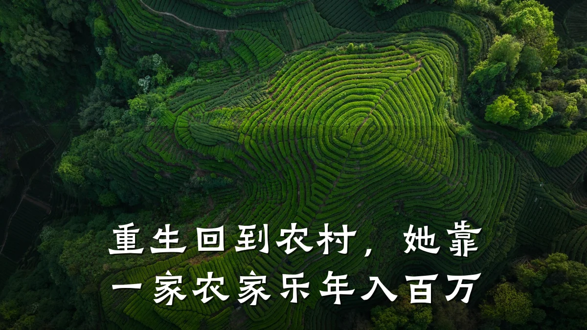 重生回到农村,她靠一家农家乐年入百万
