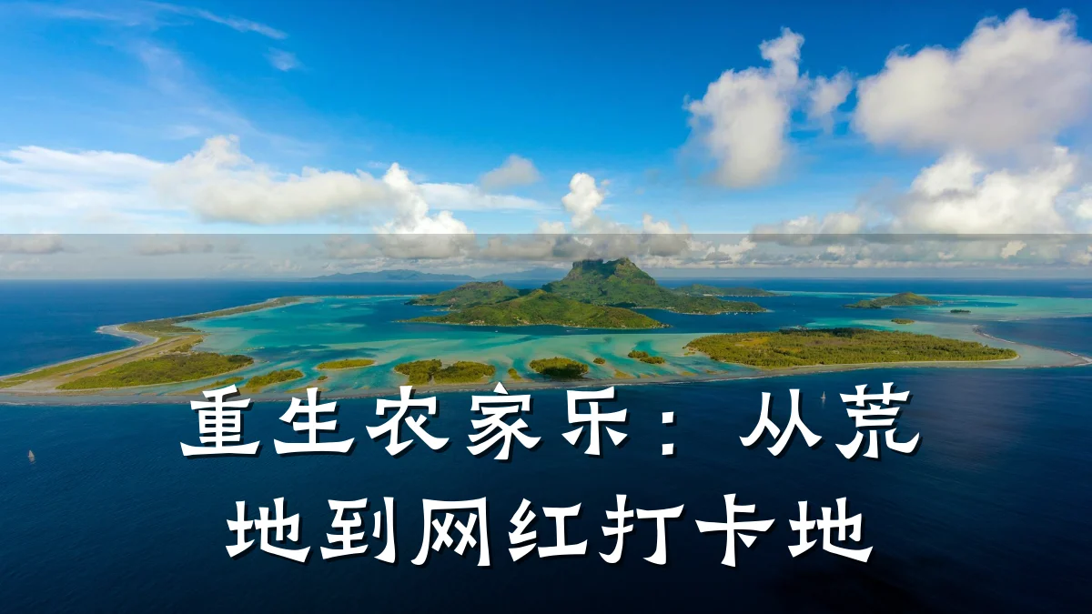 重生农家乐:从荒地到网红打卡地