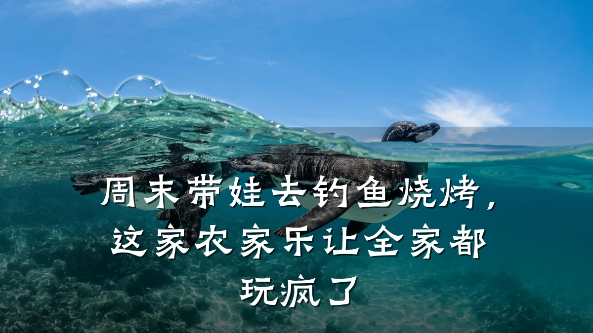 周末带娃去钓鱼烧烤,这家农家乐让全家都玩疯了
