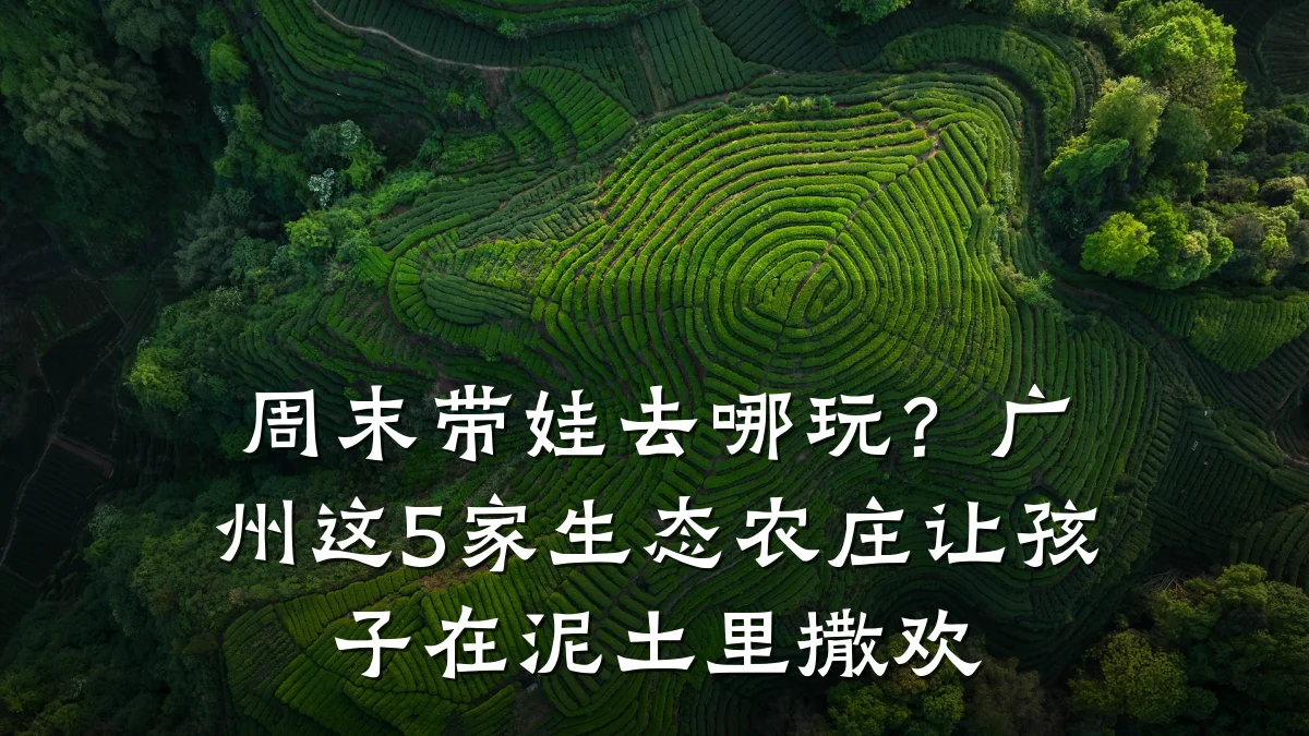 周末带娃去哪玩?广州这5家生态农庄让孩子在泥土里撒欢
