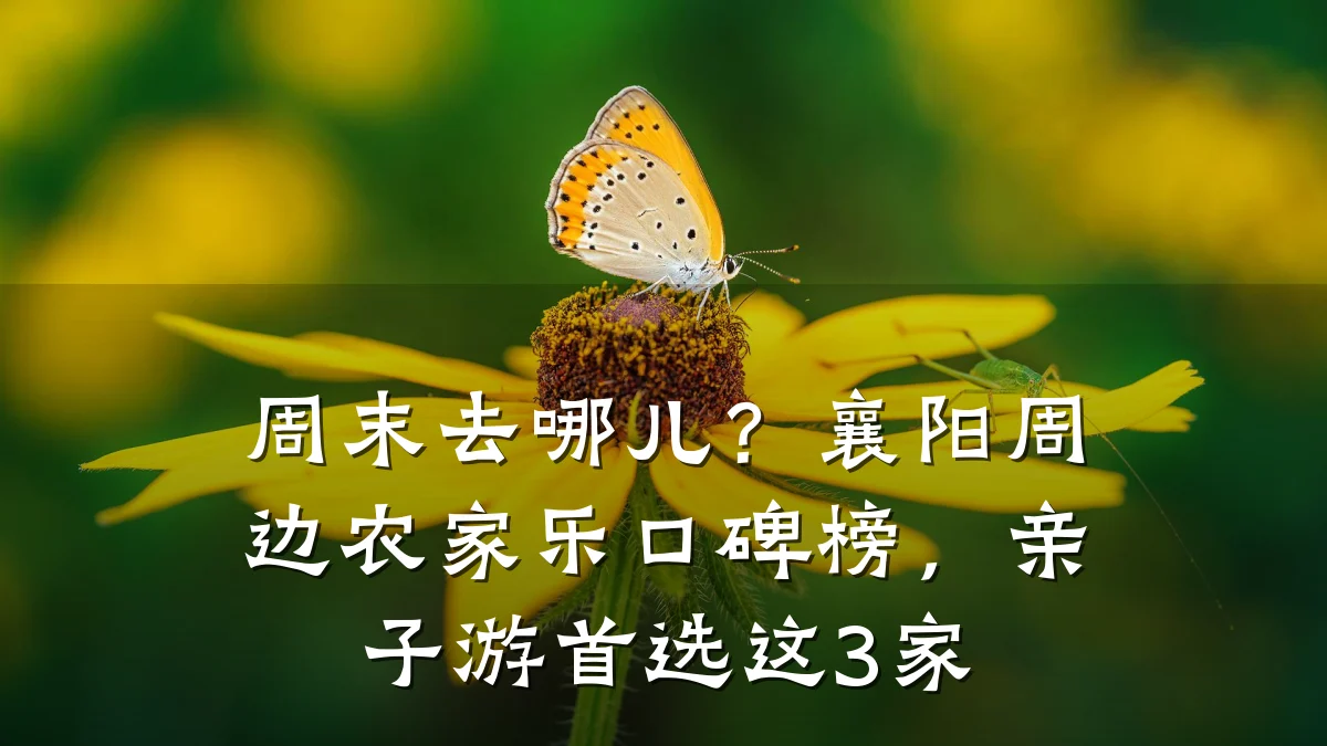 周末去哪儿？襄阳周边农家乐口碑榜，亲子游首选这3家