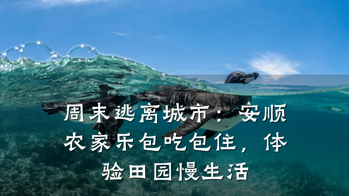 周末逃离城市:安顺农家乐包吃包住,体验田园慢生活