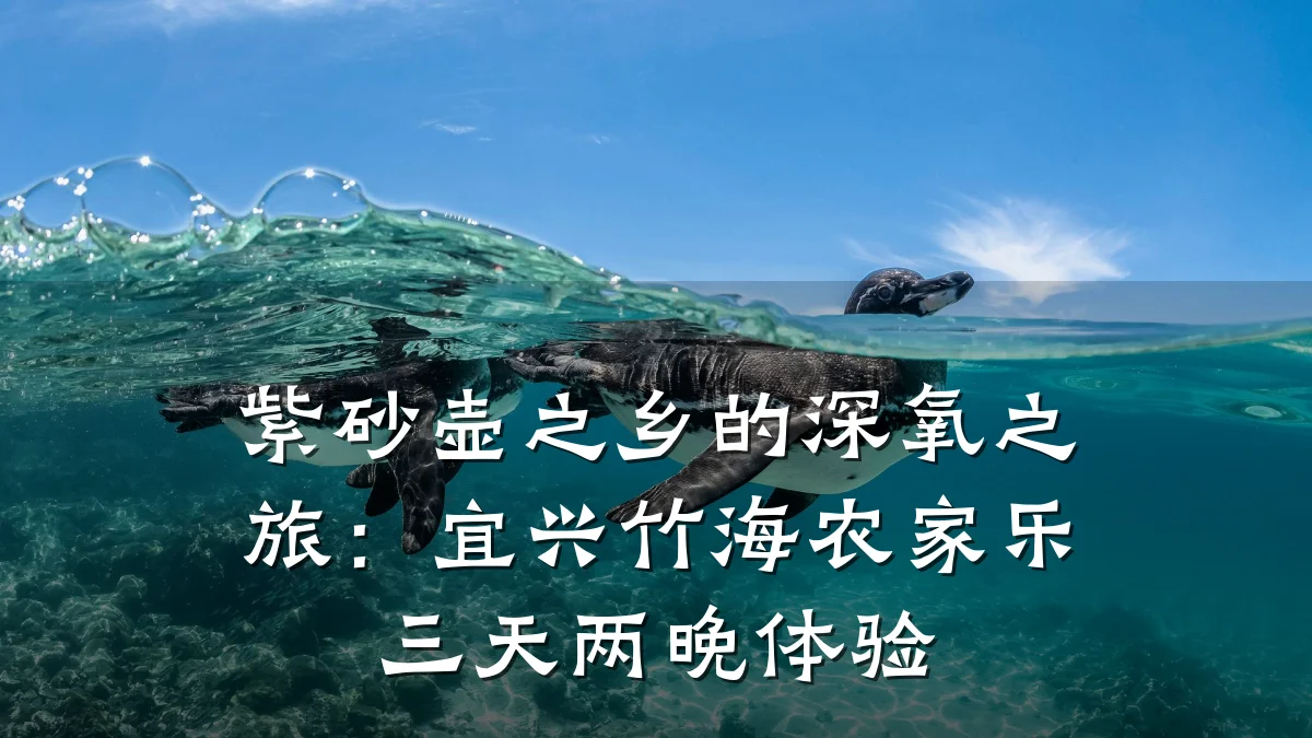 紫砂壶之乡的深氧之旅：宜兴竹海农家乐三天两晚体验